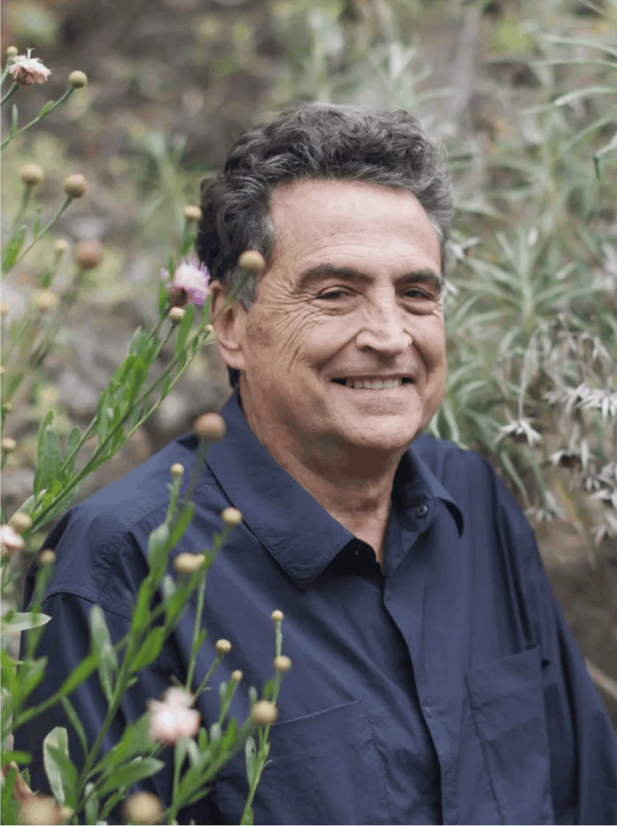 Fernando Menis
